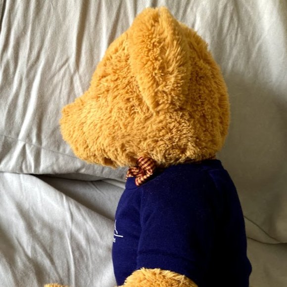 John Hancock Teddy Bear w/ Sweater 13" Plush Stuffed Toy New - Picture 4 of 9